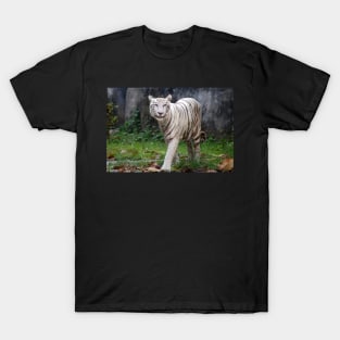 White Bengal Tiger T-Shirt